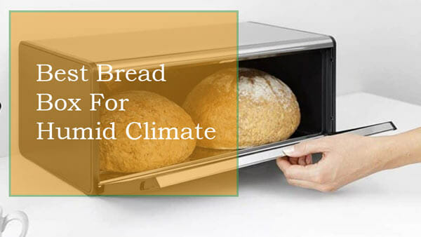 Best Bread Box For Humid Climate