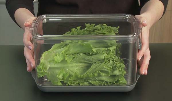 Best Produce Keeper and Storage Containers