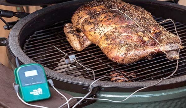 best thermometer for big green egg